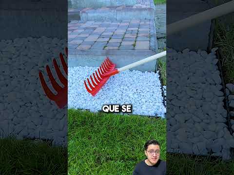 como cuando cubres la coladera con piedras y obtienes una coladera funcional oculta #shorts