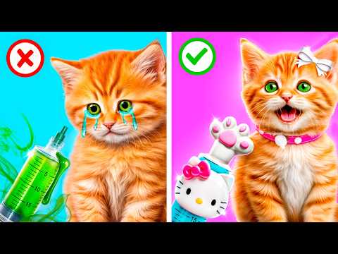 Мы спасли бездомного котенка! Лайфхаки для владельцев животных