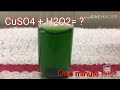 Understanding the Video Tutorial