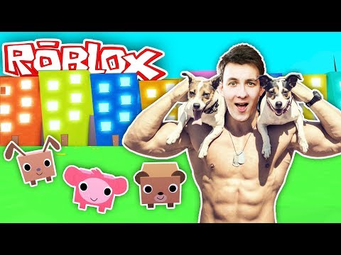 SIMULÁTOR MAZLÍČKŮ! | Roblox #63 | HouseBox