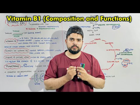 Vitamin B1 (Thiamine): Sources, Composition, Functions