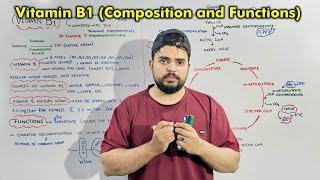 Vitamin B1 (Thiamine): Sources, Composition, Functions