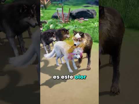 LA ECHARON DE LA FAMILIA!! 😲😲 1