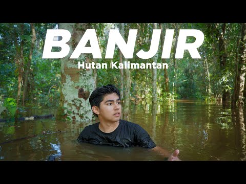 Banjir di Hutan Kalimantan!