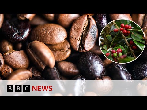 YouTube video thumbnail: Inside Colombia's Coffee Harvest as Questions Remain Around US Tariffs