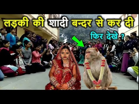 लड़की की शादी एक बन्दर के साथ में कर दी // फिर आप देखे क्या हुआ || New Waqia 2024 Star Guru