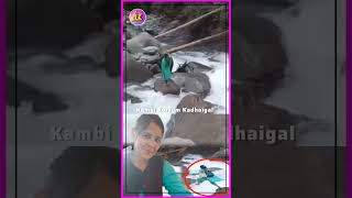 குழந்தைக்கு தடுப்பூசி போட பெருக்கெடுத்து ஓடிய வெள்ளத்திலும் உயிரை பணயம் வைத்த #nurse #KamalaDevi 🙏♥️