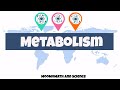 Metabolism and Enzyme Function