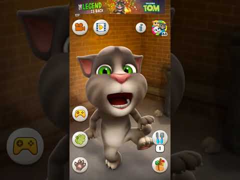 Talking Tom Cat #shorts
