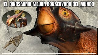 EL FÓSIL DE DINOSAURIO MÁS COMPLETO DEL MUNDO