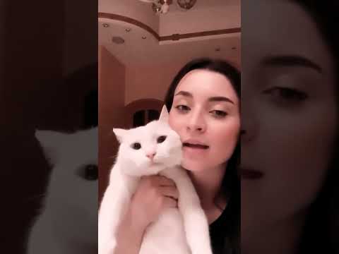 مرة في حيينا زارنا قط صغير