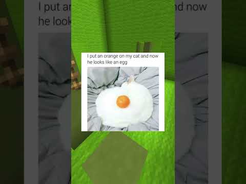 Cute Pet Memes #49