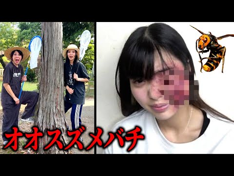 妹がオオスズメバチに刺されました。公園で家族と虫取りしてたら救急搬送