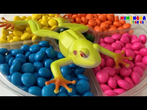 Insectos, Anfibios, Reptiles y mas 🐸🐞Colores, Nombres y Sonidos ✨ Mimonona Stories