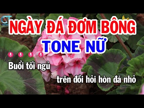 Karaoke Ngày Đá Đơm Bông Tone Nữ ( Am ) Nhạc Sống Mới || Karaoke Tuấn Kiệt