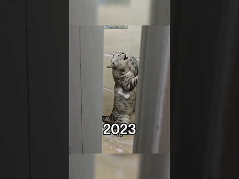 The Most Legendary Cat Memes (then vs now) #shorts