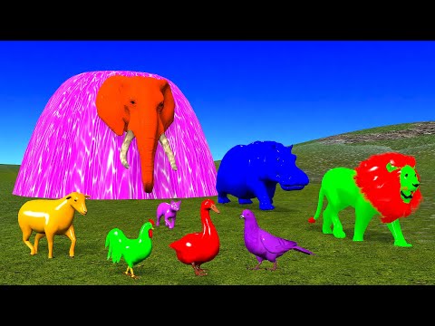 Paint Animals Gorilla Cow Tiger Lion Elephant Mammoth Horse and Camal Fountain Crossing Animal Game