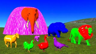 Paint Animals Gorilla Cow Tiger Lion Elephant Mammoth Horse and Camal Fountain Crossing Animal Game