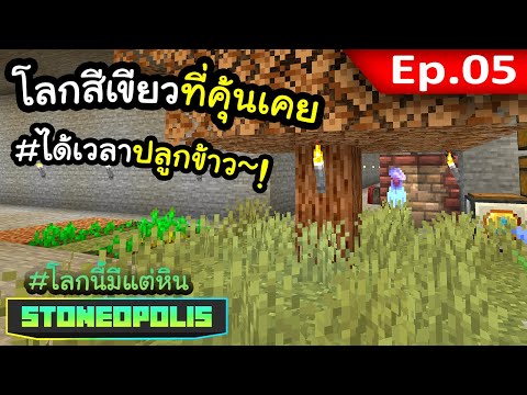 ธรรมชาติที่คุ้นเคย~! EP. 5 | โลกนี้มีแต่หิน Stoneopolis