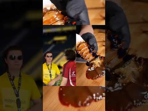 segueo-jogo🎈 créditos para: rodrigoverso #foryou #humor #naofloppa #funny