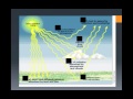 Heat and Temperature Concepts