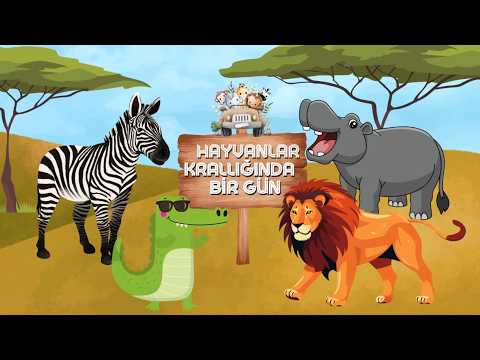 Aslan Hipopotam Zebra ve Timsahları Tanıyalım | Bölüm 1 / Eğitici Hayvanlar Alemi Serisi