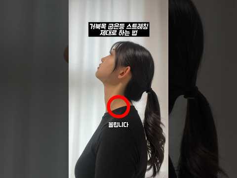 500만뷰 거북목 스트레칭이 효과 없었던 이유