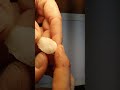 Mineral Properties and Characteristics