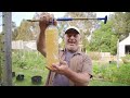 Homemade Insecticide Application Techniques