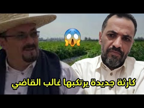 كارثة جديدة يرتكبها غالب القاضي في تهامه