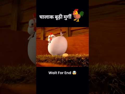 चालाक बूढ़ी मुर्गी 🐓🤯। #shorts #short