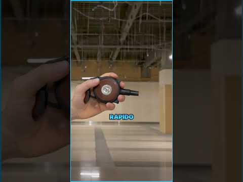Cos'è una Protector Palm Pistol? 🤔