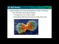 Microscopes and Cell Theory Concepts