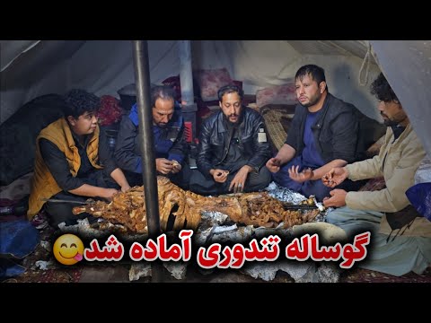 کمپ خزانی - بعد از زحمت و تلاش های زیاد گوساله آماده شد😇