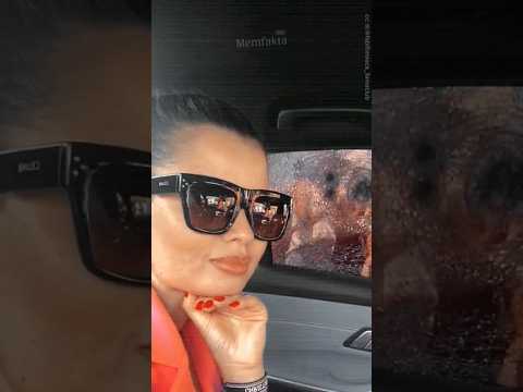 Kaca Mobil Anti Pecah