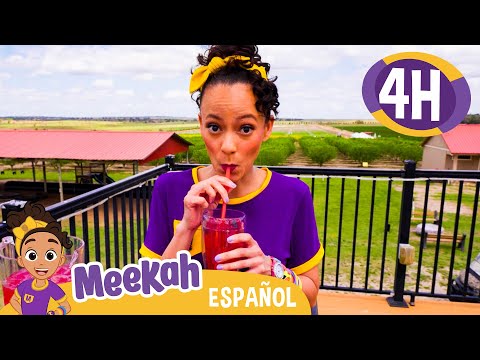 Granjas Southern Hill | 💜¡Hola Meekah!💜Amigos de Blippi | Videos educativos