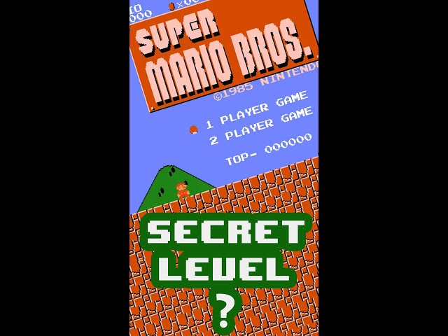 Super Mario Secret Level? #short