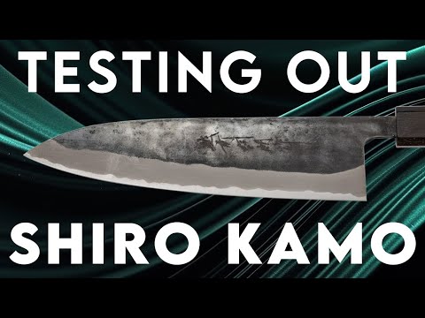 TESTING OUT - SHIRO KAMO
