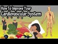 Enhancing Cardiovascular Health and Endurance