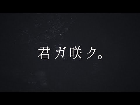 【君ガ咲ク。】櫻坂46 新メンバーオーディション ティザー映像