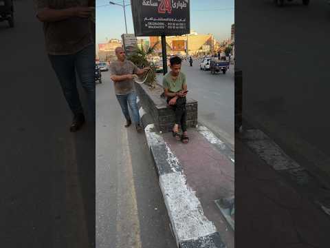 اقوى مقلب بالثعبان 🤣 هتموت من الضحك 😂