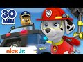 Paw Patrol Team Challenges and Lessons