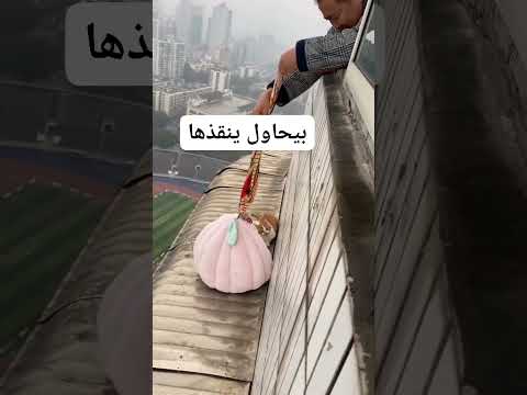 الرحمة بالحيوان 🥹