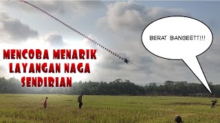 Menarik Layangan Naga Sendirian - Terpaksa Dibantu Para Bocil