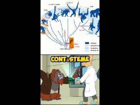 Futurama y el eslabón perdido 🙊
