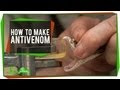 Understanding Snake Antivenom