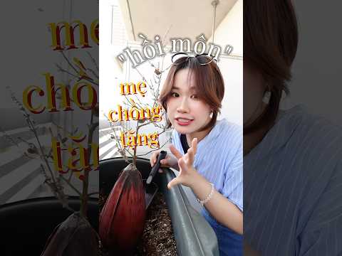 Mẹ chồng nàng dâu ở Nhật và cái kết🆘 #trending #shortvideos #challenge #shorts #viralvideo #video