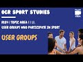 Sports Participation and Accessibility Challenges