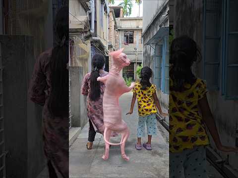 funny baby dance 💃 #shorts #trending #funny #mantumommagic