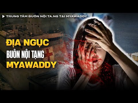 Trung Tâm Buôn Nội Ta.ng Tại Myawaddy - Địa Ngục Của 'Lợn Con'  | Vụ Án Có Thật